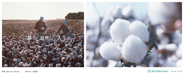 全棉时代2.jpg